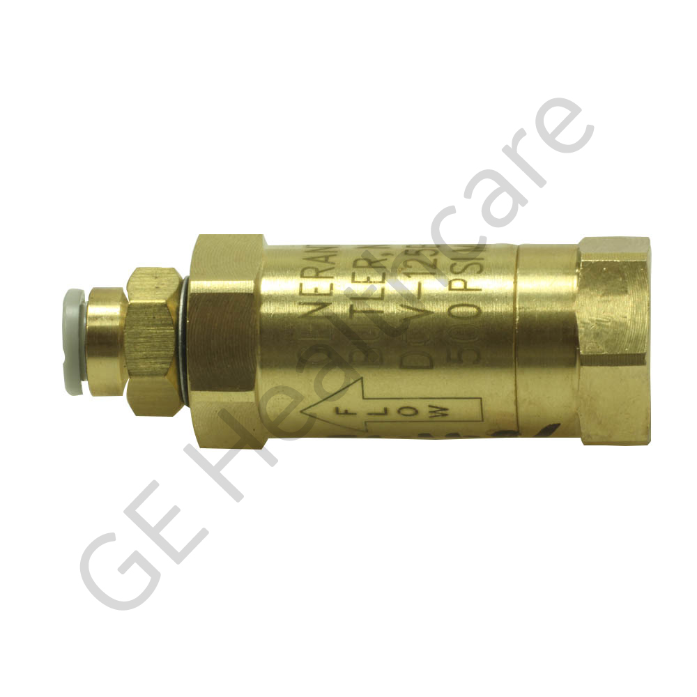 Check Valve with Filter and Straight Push Connect Fitting Check Valve with Filter and Straight Push Connect Fitting